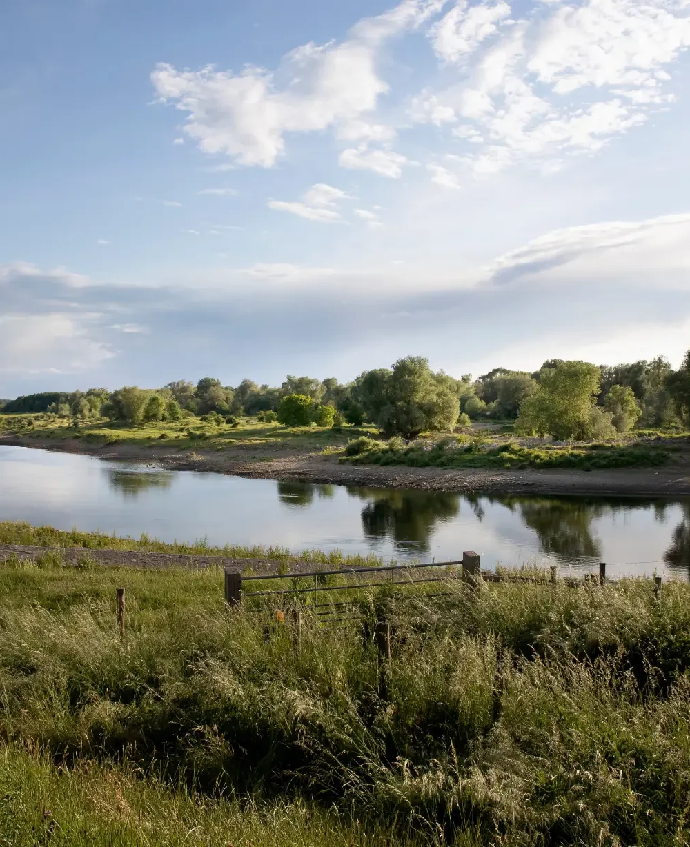 Rivier met bomen aan de overzijde, wolkenlucht en een hek in het gras op de voorgrond